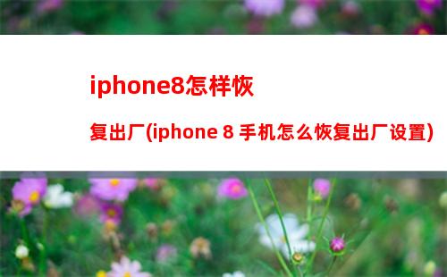 iphone8怎样恢复出厂(iphone 8 手机怎么恢复出厂设置)